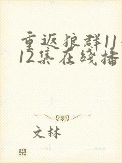 重返狼群11和12集在线播放