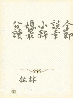 公媳小说全文阅读最新章节内容封面