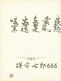 咳出来黄痰是风寒还是风热封面