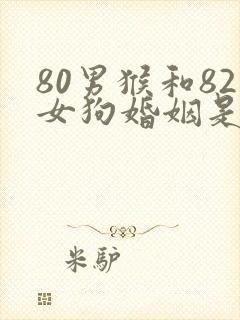 80男猴和82女狗婚姻是否相配封面