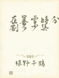 在暴雪时分电视剧多少集