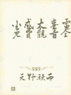 小成大事电视剧免费观看全集高清版