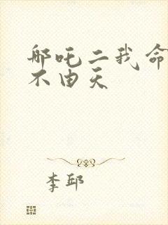 哪吒二我命由我不由天封面