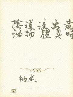 阴道流出黄的分泌物 腥臭味