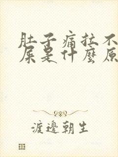 肚子痛拉不出来屎是什么原因