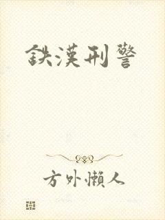 铁汉刑警封面