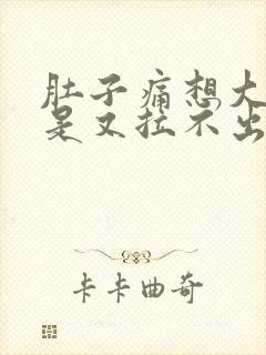 肚子痛想大便但是又拉不出来是什么原因