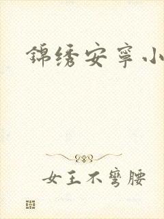 锦绣安宁小说