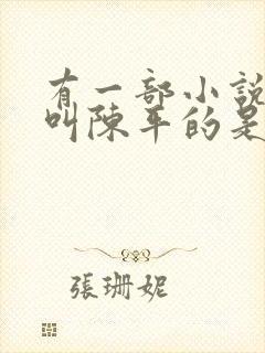 有一部小说主角叫陈平的是什么小说