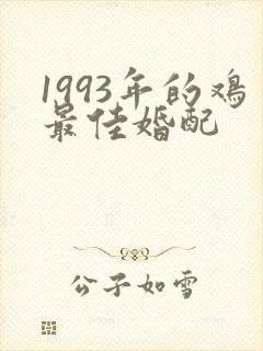 1993年的鸡最佳婚配封面