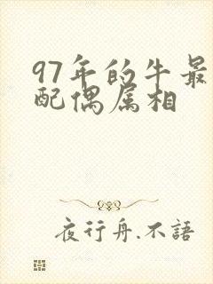 97年的牛最佳配偶属相封面