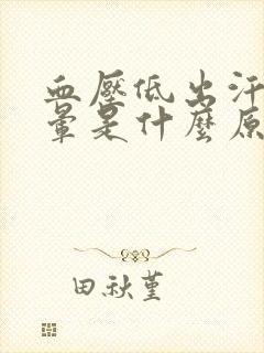 血压低出汗多头晕是什么原因