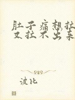 肚子痛想拉大便又拉不出来是什么原因