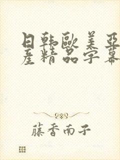 日韩欧美亚洲国产精品字幕久久久