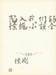 陷入我们的热恋徐栀小说全集