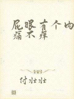 屁眼有个肉球不痛不痒