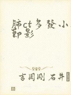 肺ct多发小结节影