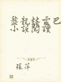 盘龙林雷巴鲁克小说阅读