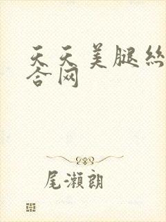 天天美腿丝袜综合网