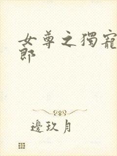 女尊之独宠丑夫郎