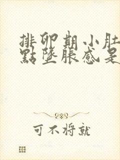 排卵期小肚子有点坠胀感是排卵了吗封面