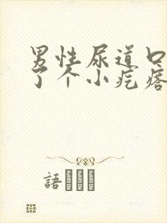 男性尿道口里长了个小疙瘩