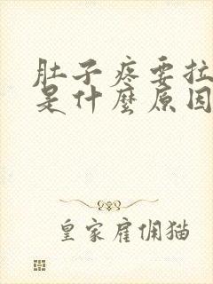 肚子疼要拉大便是什么原因封面