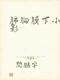 肺胸膜下小结节影