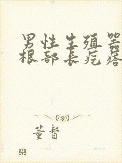 男性生殖器上面根部长疙瘩