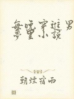 每晚穿进男神的梦里小说