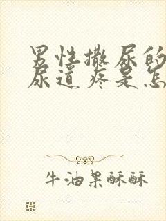 男性撒尿的时候尿道疼是怎么回事