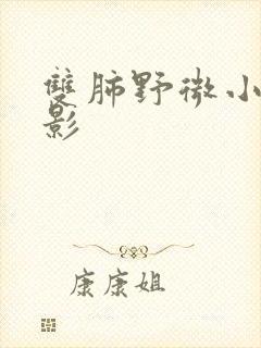 双肺野微小结节影封面