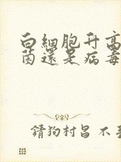 白细胞升高是细菌还是病毒感染吗