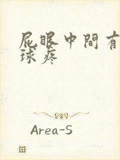 屁眼中间有个肉球疼封面