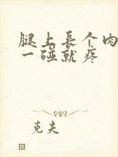 腿上长个肉疙瘩一碰就疼