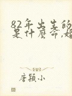 82年出生的狗是什么命,婚姻怎样