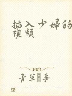 插入少妇的逼逼视频封面