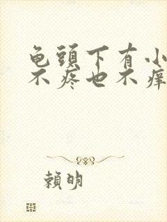 龟头下有小疙瘩不疼也不痒封面