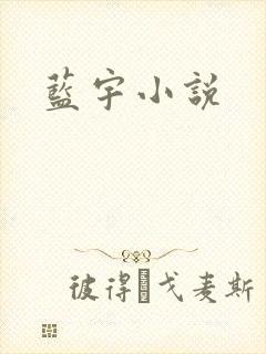 蓝宇小说