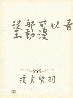 从哪可以看海贼王动漫