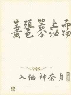 生殖器上面里有黄色分泌物