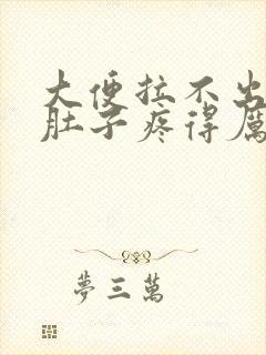 大便拉不出来小肚子疼得厉害