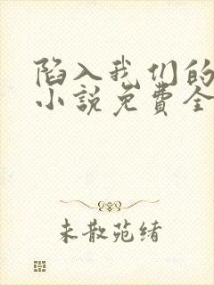 陷入我们的热恋小说免费全文阅读