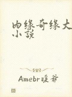 内缘奇缘大团圆小说