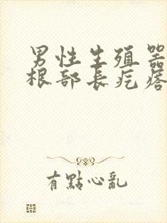 男性生殖器上面根部长疙瘩