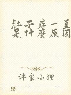 肚子疼一直拉屎是什么原因封面