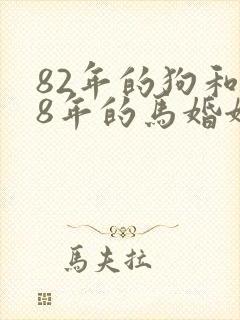 82年的狗和78年的马婚姻如何