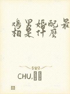 鸡男婚配最佳属相是什么