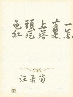 龟头上有一个小红疙瘩是怎么回事封面