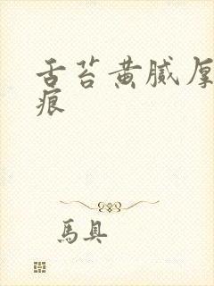 舌苔黄腻厚有齿痕封面